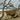 Amazonas - Adventure Set