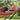 Amazonas - Beach Hammock Set