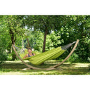 Amazonas - Florida Kiwi Hammock