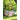Amazonas - Globo Single Natura Hanging Chair
