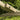 Amazonas - Kronos Hammock Stand (M)