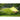 Amazonas - Miami Kiwi Hammock