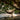 Amazonas - Moskito Traveller Extreme Hammock