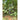 Amazonas - Moskito-Traveller Thermo