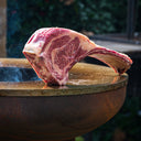 BonFeu - BonBiza Open.