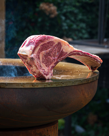 BonFeu - BonBiza Open.