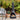Casa Mia - Alto Wood-Burning Chiminea. Outdoor living.