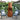 Casa Mia - Tempo Gas Chiminea with cooking griddle.