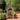 Fontana Forni - Margherita Wood Pizza Oven Including Trolley