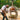 Fontana Forni - Marinara Countertop Wood Pizza Oven