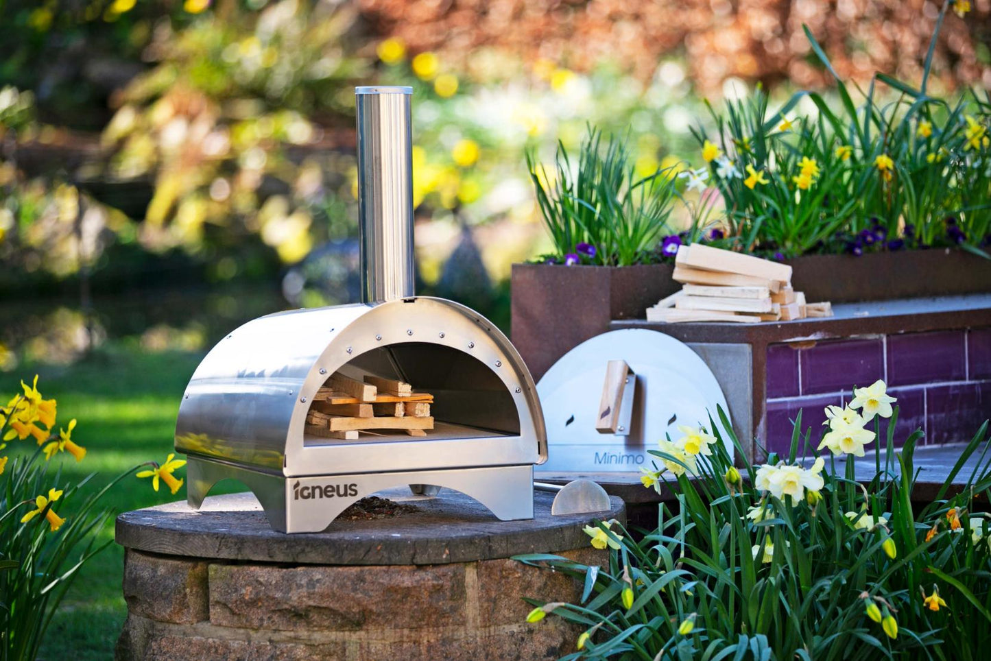 An Igneus Minimo Portable Pizza Oven (Inc. Peel & Rake) sits gracefully on a stone platform, amidst blooming yellow and white daffodils. Inside the stainless steel oven is a stack of firewood, with another pile nearby, prepared for outdoor cooking on a bright sunny day.