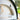 Igneus - Pro 600 Wood Fired Pizza Oven