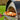 Igneus - Pro 600 Wood Fired Pizza Oven