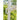 Pacific Lifestyle - Challenger T2 3m Square Sandstone / Champagne Free Arm Parasol
