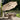 Pacific Lifestyle - Riva 3m Round Champagne Parasol