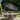 Pacific Lifestyle - Riva Teak 3m Round Anthracite Parasol