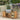 Cala Teak Outdoor Kitchen. Linear 226